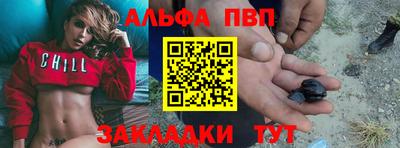 дмт Гатчина