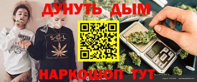 дмт Гатчина